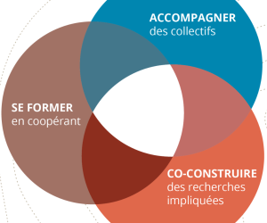 CCB_2_schema_site_ccb