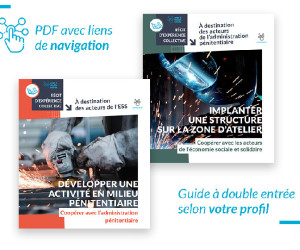 ESS_et_peniteniaire_livret-penitientiaire_guide_double-entree-compo