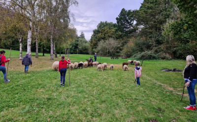 Une_bergerie_de_Saint-Brieuc_remporte_le_prix_regional_de_lESS_2023_sorts-tes-moutons-1000px